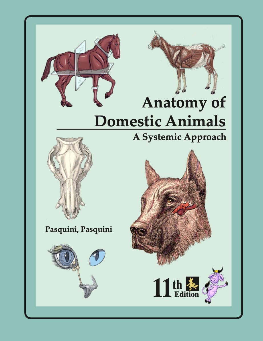 DOMESTIC ANIMAL BODY DESCRIPTION