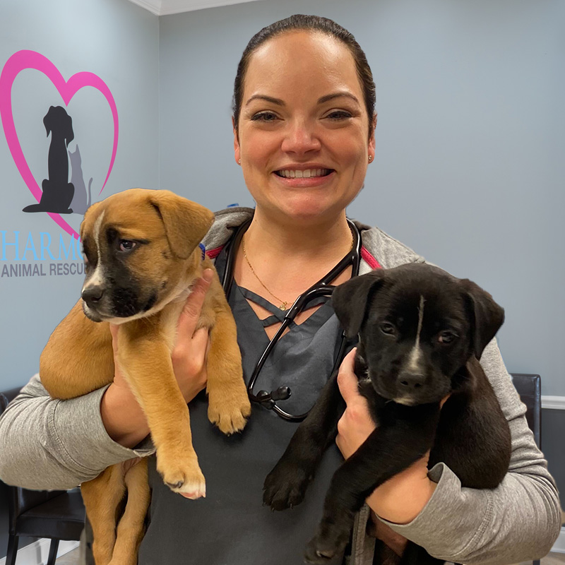 COMPANION ANIMAL MANAGEMENT