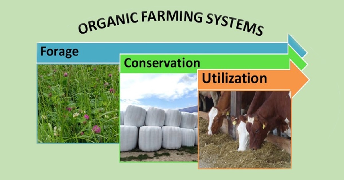 FODDER CROPS CONSERVATION AND DISTRIBUTION