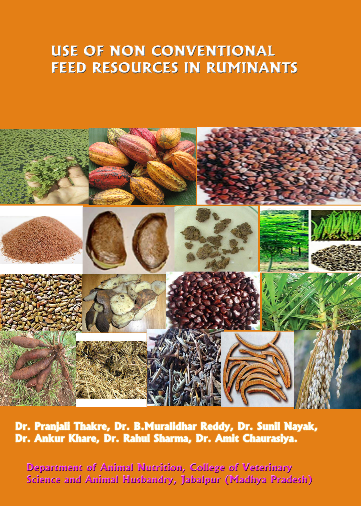 CONCENTRATE  FEED PREPARATION AND DISTRIBUTION