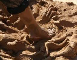 PRODUCTION OF SOIL BASED BRICKS AND BLOCKS