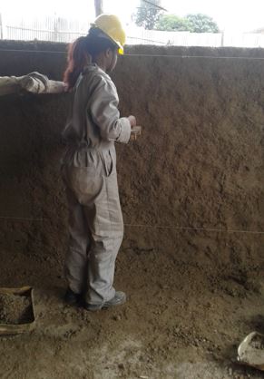 PERFORM PLASTERING OF STRUCTURE ELEMENT