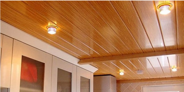 BDCCI501: INSTALL CEILING 