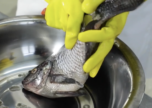 Food Processing E-lesson: Pre-Process Fish